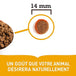 Acana nourriture sèche Prairie Poultry pour chiens | 14.5kg