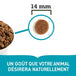 Acana nourriture sèche Wild Coast pour chiens | 2kg