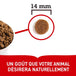Acana nourriture sèche viande rouge pour chiens | 9.7kg