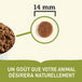 Acana nourriture sèche poulet pour chiens séniors | 11.4kg
