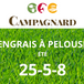 Engrais 25-5-8 pour croissance pelouse 25kg