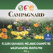 Semences de Fleurs sauvages - Mélange Champêtre 150g