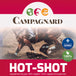 HOT-SHOT supplément de gras végétal pour chevaux 4kg