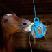 Balle distributrice Jolly Hay Ball bleue | 8po