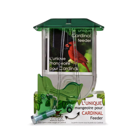 Mangeoire verte pour cardinal