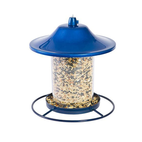 Mangeoire pour oiseaux sauvages panorama bleue