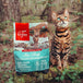 Orijen nourriture sèche Six Fish pour chats | 1.8kg