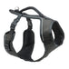Harnais pour chien PetSafe EasySport - Moyen
