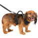 Harnais pour chien PetSafe EasySport - Small