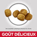 Science Diet nourriture sèche soins dentaires pour chats | 15.5lbs