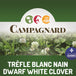 Semences Trèfle Blanc Nain 5kg