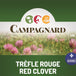 Semences Trèfle Rouge 5kg