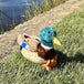 Peluche Canard Malard 12po