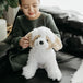 Peluche Chien Bichon frisé 12po