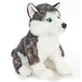 Peluche Chien Husky 12po