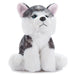 Peluche Chien Husky 9po