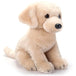 Peluche Chien Labrador blond 12po 3