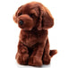 Peluche Chien Labrador brun 12po