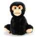 Peluche Singe chimpanzé 8po