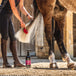 Canter conditionneur pour crinière et queue 500ml