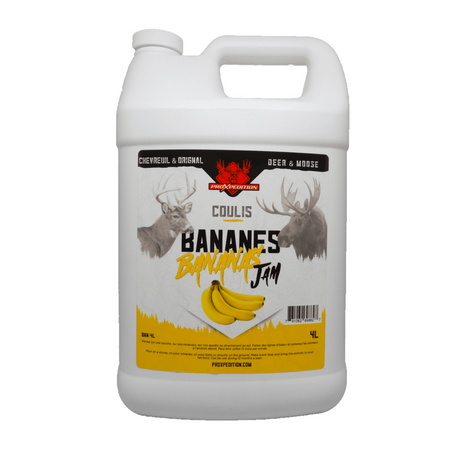Coulis aux bananes 4L
