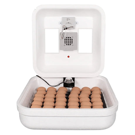Incubateur d'œufs avec thermostat électronique