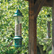 Mangeoire Squirrel Buster Plus