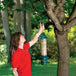 Mangeoire Squirrel Buster Plus