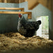 Paille hachée fine FarmStraw 3pi³