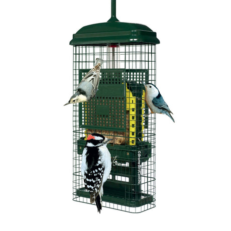 Mangeoire Squirrel Buster pour suif