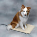 Tapis chauffant pour animaux de compagnie