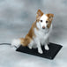 Tapis chauffant pour animaux de compagnie