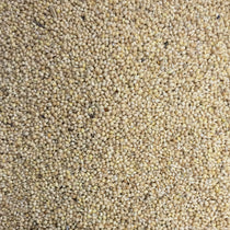Millet Blanc 50lbs