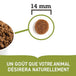 Acana nourriture sèche Grasslands +protéines pour chiens | 11.4kg