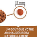Acana nourriture sèche pour chiens grandes races | 17kg