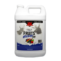 Coulis aux fruits 4L