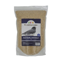 Graines de Millet blanc pour oiseaux sauvages 2kg