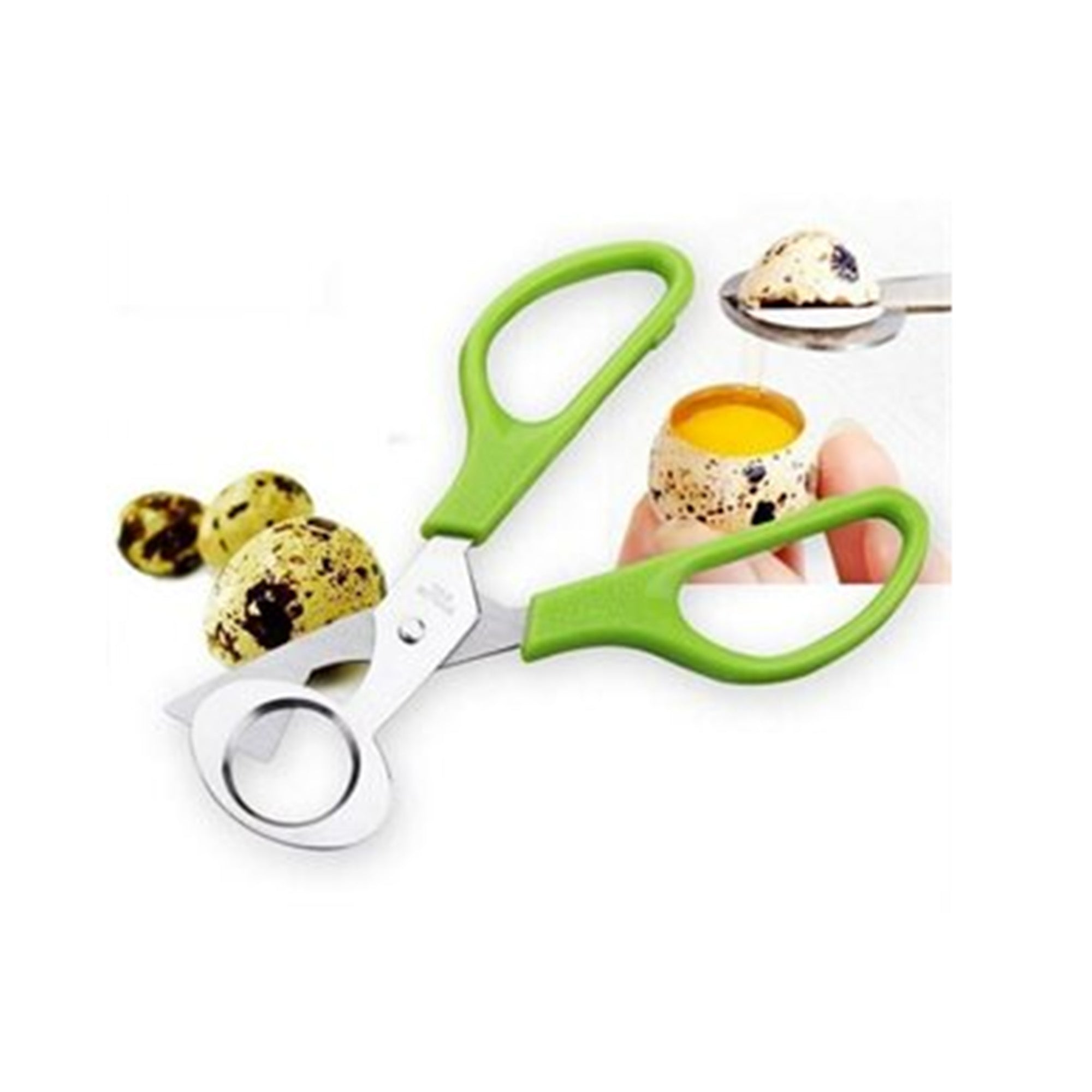 Ciseaux à œufs De Caille IBILI - Inox Vert - Référence 768200 - Neuf Emballé