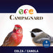 Graines colza pour oiseau 4kg