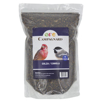 Graines colza pour oiseau 4kg