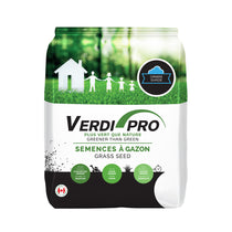 Semences gazon Ombre 1kg