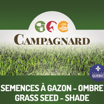 Semences gazon Ombre 1kg