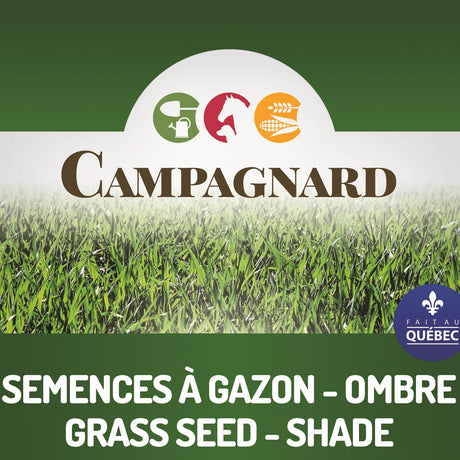 Semences à Gazon Ombre 1kg