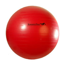 Mega Ball 25''