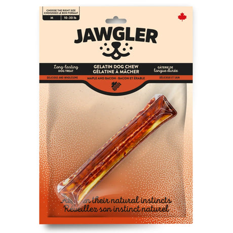 Jawgler gélatine à mâcher Bacon-érable-L