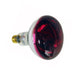 Ampoule chauffante lumière rouge 250W
