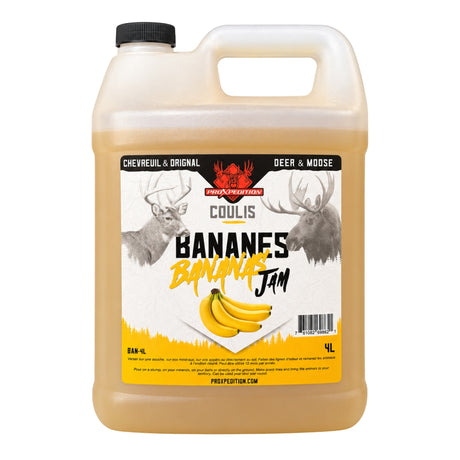 Coulis aux bananes 4L