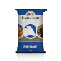 Moulée Croissance veaux 20.5% 25kg