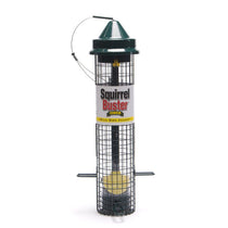 Mangeoire Squirrel Buster Chardon
