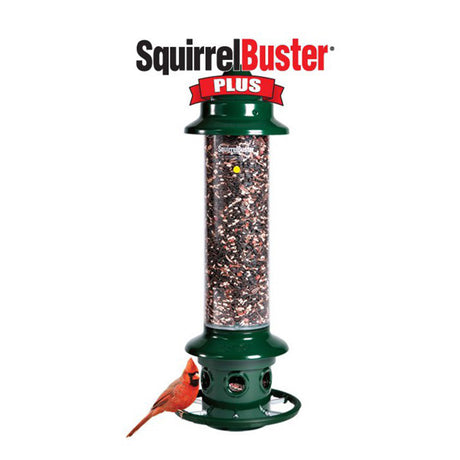 Mangeoire Squirrel Buster Plus